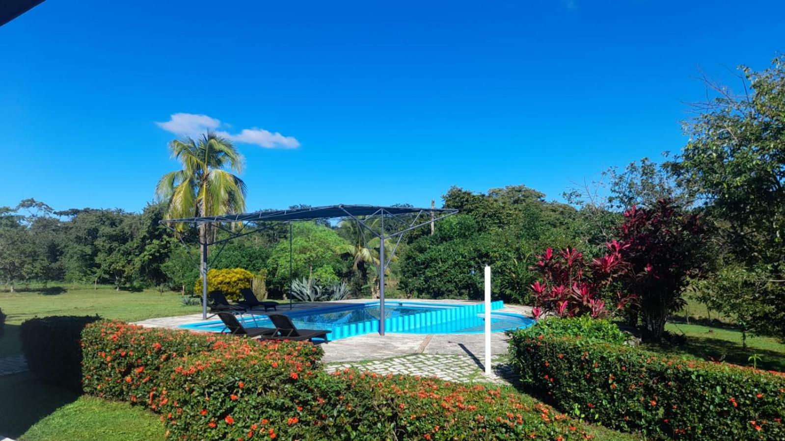 Hotel Los Leones Palenque Eksteriør billede