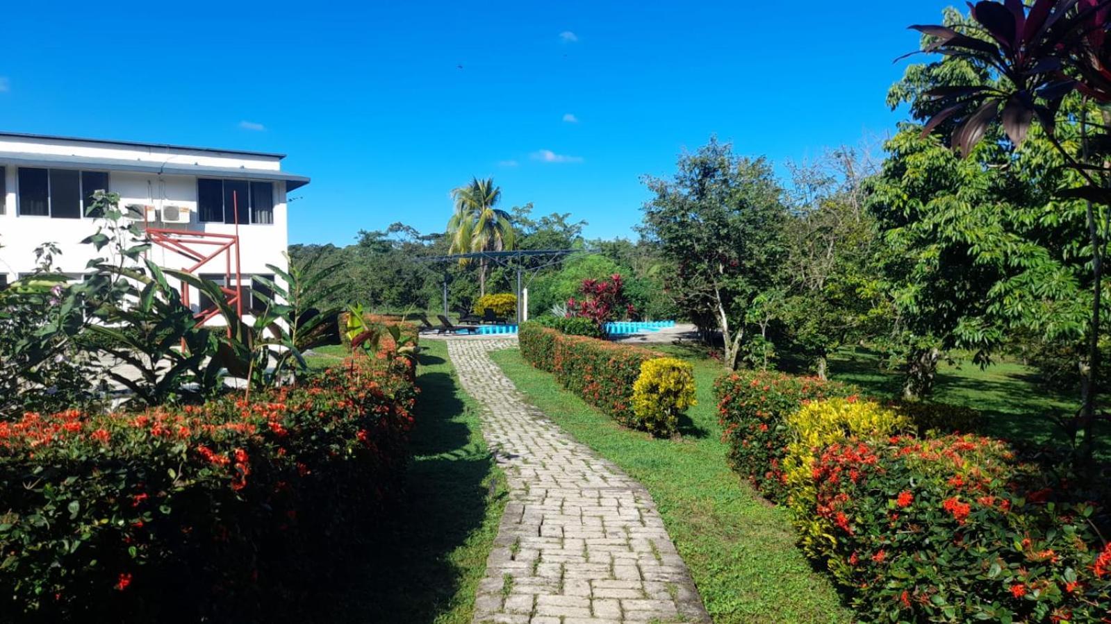 Hotel Los Leones Palenque Eksteriør billede